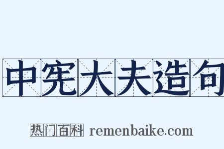 中宪大夫造句是什么意思的图片